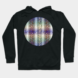 Colourful gradient unique flowers leopard stripes abstract modern 266 Pattern Hoodie